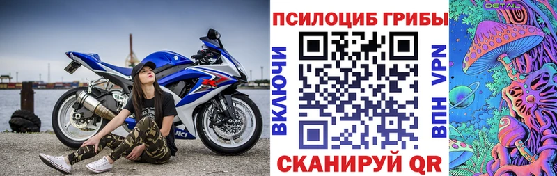 Псилоцибиновые грибы Psilocybine cubensis  Купить закладки  Городовиковск 